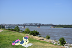 Size: 1800x1200 | Tagged: safe, artist:mlplover94, artist:muffinname, imported from derpibooru, bon bon, sweetie drops, earth pony, pony, bridge, female, irl, mare, memphis, newspaper, photo, ponies in real life, reading, solo, tennessee