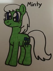 Size: 2448x3264 | Tagged: safe, artist:maddiedraws5678, imported from derpibooru, minty (g1), earth pony, pony, blue eyes, cute, female, full body, g1, g1 mintabetes, g1 to g4, g4, generation leap, hooves, mare, palindrome get, simple background, smiling, solo, standing, tail, traditional art, white background, white hair, white mane, white tail