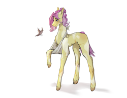 Size: 3500x2700 | Tagged: safe, artist:ucucifi20, imported from derpibooru, fluttershy, bird, pony, alternate hairstyle, female, mare, missing cutie mark, scar, simple background, sling, solo, white background