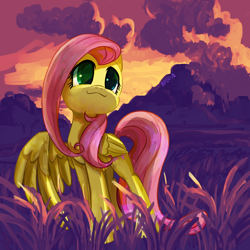 Size: 1600x1600 | Tagged: safe, artist:brella, imported from derpibooru, fluttershy, pegasus, pony, cloud, cute, female, grass, looking away, looking up, mare, one wing out, outdoors, shyabetes, smiling, solo, standing, sunset, turned head, wings