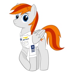 Size: 1200x1200 | Tagged: safe, artist:wzngtx, imported from derpibooru, oc, oc:felix gulfstream, pegasus, pony, clothes, male, simple background, solo, uniform, white background