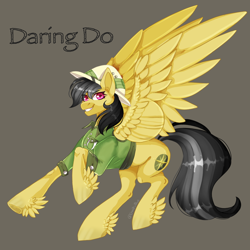 Size: 2048x2048 | Tagged: safe, artist:cha0sblue, imported from derpibooru, daring do, pegasus, pony, feathered fetlocks, female, gray background, grin, mare, simple background, smiling, solo