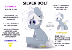 Size: 2064x1457 | Tagged: safe, artist:mochi_nation, imported from derpibooru, oc, oc only, oc:silver bolt, earth pony, pony, coat markings, engrish, eye clipping through hair, female, mare, misspelling, reference sheet, simple background, sitting, solo, white background