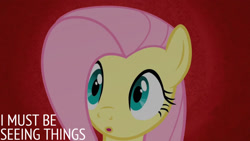 Size: 1280x720 | Tagged: safe, edit, edited screencap, editor:quoterific, imported from derpibooru, screencap, fluttershy, pegasus, pony, season 2, the return of harmony, :o, female, mare, open mouth, solo, text