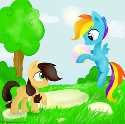 Size: 1600x1590 | Tagged: safe, artist:katemaximova, imported from derpibooru, rainbow dash, oc, earth pony, pegasus, pony, ball, bush, cloud, duo, duo male and female, female, hoof hold, looking at each other, looking at someone, male, mare, outdoors, raised hoof, stallion, tree, wings