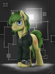 Size: 1500x2021 | Tagged: safe, artist:1jaz, imported from derpibooru, oc, oc only, earth pony, pony, solo