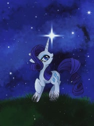 Size: 675x900 | Tagged: safe, artist:stacy_165cut, imported from derpibooru, rarity, pony, unicorn, female, grass, horn, looking back, mare, night, night sky, outdoors, raised hoof, sky, solo, stars