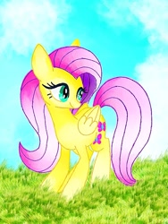 Size: 675x900 | Tagged: safe, artist:stacy_165cut, imported from derpibooru, fluttershy, pegasus, pony, female, folded wings, grass, mare, outdoors, solo, wings