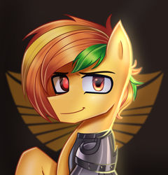 Size: 2800x2920 | Tagged: safe, artist:opal_radiance, imported from derpibooru, oc, pegasus, pony, solar empire, solo