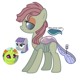 Size: 1280x1252 | Tagged: safe, artist:princess-kitsune-tsu, imported from derpibooru, maud pie, thorax, oc, changedling, changeling, changepony, hybrid, female, interspecies offspring, king thorax, offspring, parent:maud pie, parent:thorax, simple background, transparent background