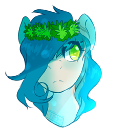 Size: 800x800 | Tagged: safe, artist:henyoki, imported from derpibooru, oc, oc only, pony, bust, female, portrait, simple background, solo, transparent background