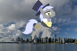 Size: 3200x2137 | Tagged: safe, artist:cloudy glow, artist:thegiantponyfan, imported from derpibooru, caesar, count caesar, earth pony, pony, canada, giant pony, giant/macro earth pony, hat, high res, highrise ponies, irl, macro, male, mega giant, monocle, photo, ponies in real life, smiling, stallion, story included, top hat, vancouver