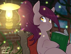 Size: 1600x1200 | Tagged: safe, artist:potetecyu_to, imported from derpibooru, oc, oc only, earth pony, pony, book, female, hoof hold, lantern, looking at you, mare, solo, window