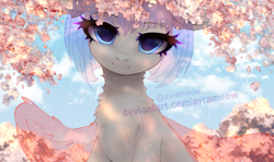 Size: 2000x1185 | Tagged: safe, artist:avrameow, imported from derpibooru, oc, pony, cherry blossoms, commission, flower, flower blossom, looking at you, sky, solo, sunlight, your character here