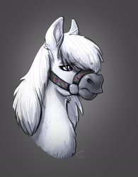 Size: 1924x2467 | Tagged: safe, artist:selenophile, imported from derpibooru, oc, oc only, oc:fall frost, pony, bridle, bust, eye clipping through hair, female, halter, hoers, mare, snowpony (species), solo, tack, taiga pony, yakutian horse