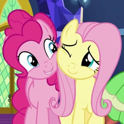 Size: 689x689 | Tagged: safe, imported from derpibooru, screencap, fluttershy, meadowbrook, pinkie pie, earth pony, pegasus, pony, season 7, shadow play, cheek to cheek, cropped, cute, diapinkes, duo focus, female, offscreen character, one eye closed, shyabetes, smiling, trio, trio female
