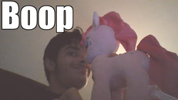 Size: 1280x720 | Tagged: safe, imported from derpibooru, pinkie pie, human, boop, caption, image macro, irl, irl human, male, photo, plushie, text