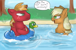 Size: 3000x2000 | Tagged: safe, artist:katemaximova, imported from derpibooru, applejack, big macintosh, earth pony, pony, applejack's hat, applejerk, brother and sister, cowboy hat, crossed hooves, duo, duo male and female, female, floaty, freckles, hat, inflatable, looking at each other, looking at someone, male, mare, open mouth, open smile, pool toy, siblings, smiling, speech bubble, stallion, unshorn fetlocks, water