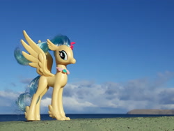 Size: 4128x3096 | Tagged: safe, artist:dingopatagonico, imported from derpibooru, princess skystar, classical hippogriff, hippogriff, my little pony: the movie, irl, photo, solo, toy