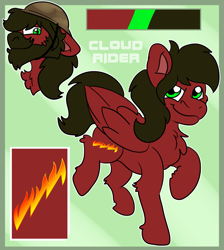 Size: 1701x1900 | Tagged: safe, artist:euspuche, imported from derpibooru, oc, oc only, oc:cloud rider, pegasus, looking at you, male, reference sheet, smiling
