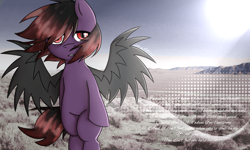 Size: 1700x1018 | Tagged: safe, artist:zeffdakilla, imported from derpibooru, oc, oc only, oc:frankie fang, pegasus, 2000s, bipedal, desert, emo, lyrics, nostalgia, red eyes, seether, solo, standing, text