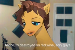 Size: 2048x1366 | Tagged: safe, artist:draw3, imported from derpibooru, caramel, earth pony, pony, alcohol, dialogue, drunk, jerma, jerma985, male, meme, microphone, microphone stand, ponified, ponified meme, real life background, rule 85, solo, stallion, text, wine, youtuber