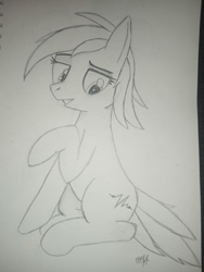 Size: 1200x1600 | Tagged: safe, artist:m37, imported from derpibooru, oc, earth pony, pony, female, pencil drawing, solo, traditional art