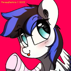 Size: 2000x2000 | Tagged: safe, artist:perezadotarts, imported from derpibooru, oc, oc only, oc:black ice, pegasus, pony, :p, blushing, clothes, colored, cute, digital art, drawing, looking at you, red background, simple background, socks, solo, text, tongue out