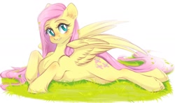 Size: 2000x1182 | Tagged: safe, artist:kawi_pie, imported from derpibooru, fluttershy, pegasus, pony, aside glance, cute, female, grass, head tilt, looking at you, lying down, mare, prone, shyabetes, solo, spread wings, unshorn fetlocks, wings