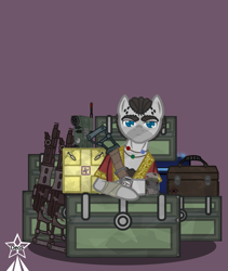 Size: 4245x5021 | Tagged: safe, artist:devorierdeos, imported from derpibooru, oc, pegasus, fallout equestria, assault rifle, enclave, grand pegasus enclave, gun, looking at you, pills, radio, reference, rifle, simple background, spy, toolbox, watch, weapon