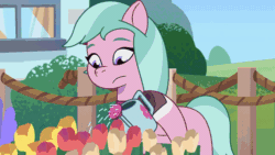 Size: 800x450 | Tagged: safe, imported from derpibooru, screencap, sunny starscout, alicorn, earth pony, pony, spoiler:g5, spoiler:my little pony: tell your tale, spoiler:tyts01e16, animated, artificial horn, artificial wings, augmented, dahlia, flower, flying, g5, gif, glowing, glowing horn, glowing wings, horn, magic, magic horn, magic wings, my little pony: tell your tale, neighfever, race swap, sunnycorn, surprised, tongue out, watering can, wings, youtube link