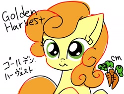 Size: 2006x1515 | Tagged: safe, artist:namaenonaipony, imported from derpibooru, carrot top, golden harvest, earth pony, pony, female, japanese, mare, simple background, solo, wavy mouth, white background