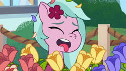 Size: 3410x1920 | Tagged: safe, imported from derpibooru, screencap, earth pony, pony, spoiler:g5, spoiler:my little pony: tell your tale, spoiler:tyts01e16, dahlia, disgusted, eyes closed, female, flower, g5, high res, mare, my little pony: tell your tale, neighfever, open mouth, solo, tongue out, youtube link