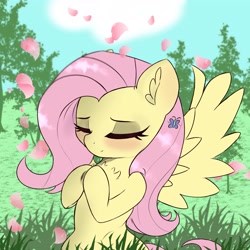 Size: 3333x3333 | Tagged: safe, artist:pure red, artist:pure_red001, imported from derpibooru, fluttershy, butterfly, pegasus, pony, bipedal, blushing, cherry blossoms, chest fluff, cloud, cute, daaaaaaaaaaaw, ear fluff, eyes closed, female, flower, flower blossom, frog (hoof), grass, hooves to the chest, hooves together, mare, nature, shyabetes, smiling, tree, underhoof