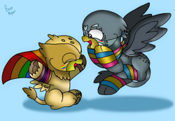 Size: 2524x1751 | Tagged: safe, artist:beesmeliss, imported from derpibooru, gabby, grizzle, griffon, blue background, chibi, clothes, pride flag, simple background, socks, striped socks