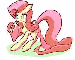 Size: 2836x2274 | Tagged: safe, artist:solid shrimp, imported from derpibooru, fluttershy, pegasus, pony, simple background, solo