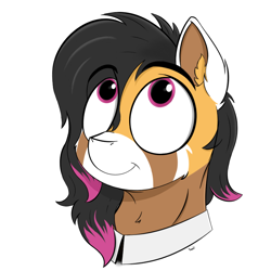 Size: 900x900 | Tagged: safe, artist:rapid9, imported from derpibooru, oc, oc only, pony, bust, collar, commission, long hair, looking up, simple background, smiling, solo, white background, ych result