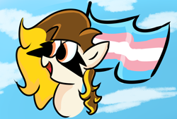 Size: 3160x2140 | Tagged: safe, artist:beepo, imported from derpibooru, oc, oc only, oc:beepo, pegasus, pony, female, mare, pride, pride flag, solo, trans flag, transgender, transgender pride flag