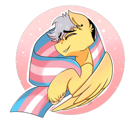 Size: 2312x2244 | Tagged: safe, artist:shamy-crist, imported from derpibooru, oc, oc:gala, pegasus, pony, pride, pride flag, solo, transgender pride flag