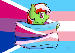 Size: 2063x1458 | Tagged: safe, artist:exobass, imported from derpibooru, oc, oc:wandering sunrise, earth pony, bisexual pride flag, bitrans flag, commission, pride, pride flag, solo, transgender pride flag, ych result