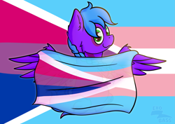 Size: 2063x1458 | Tagged: safe, artist:exobass, imported from derpibooru, oc, oc:violet aura, pegasus, pony, bisexual pride flag, bitrans flag, commission, female, mare, pride, pride flag, solo, spread wings, transgender pride flag, wings, ych result