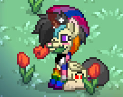 Size: 543x430 | Tagged: safe, imported from derpibooru, oc, oc only, oc:meezy, alicorn, pony, pony town, bisexual pride flag, clothes, gay pride, genderfluid pride flag, pixel art, pride, pride flag, pride month, rainbow socks, socks, solo, striped socks