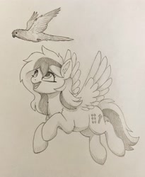 Size: 2619x3199 | Tagged: safe, artist:luminousdazzle, imported from derpibooru, oc, oc only, oc:kezzie, bird, parakeet, parrot, pegasus, pony, duo, female, flying, looking up, mare, pegasus oc, pet, smiling, traditional art