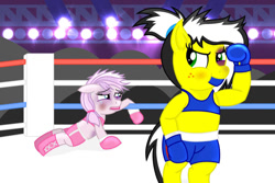 Size: 1024x683 | Tagged: safe, artist:toyminator900, imported from derpibooru, oc, oc only, oc:love punch, oc:uppercute, earth pony, pegasus, beaten up, bipedal, boxing, boxing ring, clothes, female, knock out, sports