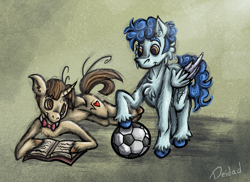 Size: 1487x1080 | Tagged: safe, artist:deidad dissitum, imported from derpibooru, curly winds, some blue guy, wiz kid, pegasus, pony, unicorn, book, bow, couple, duo, duo male, football, gay, looking at each other, looking at someone, love, male, shipping, sports, wizwinds