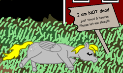 Size: 614x365 | Tagged: safe, anonymous artist, derpy hooves, pegasus, /mlp/, 4chan, cute, derpabetes, drawthread, lying down, ponified animal photo, requested art, sign, sleeping