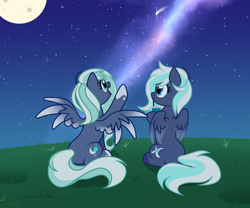 Size: 1800x1500 | Tagged: safe, artist:nika-rain, imported from derpibooru, oc, oc only, pegasus, pony, commission, cute, duo, duo female, female, grass, moon, night, show accurate, stars