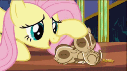 Size: 400x224 | Tagged: safe, imported from derpibooru, screencap, fluttershy, chipmunk, pegasus, pony, every little thing she does, season 6, ^^, animated, cute, daaaaaaaaaaaw, discovery family, discovery family logo, eyes closed, female, gif, head rub, hnnng, logo, mare, shyabetes, talking, twilight's castle, weapons-grade cute