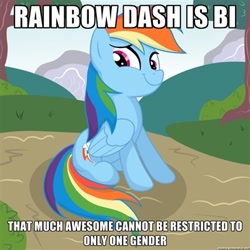 Size: 400x400 | Tagged: safe, imported from derpibooru, rainbow dash, pegasus, pony, artifact, bisexuality, caption, female, headcanon, image macro, impact font, meme, sexuality headcanon, solo, text