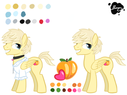 Size: 2732x2048 | Tagged: safe, artist:xcosmicghostx, imported from derpibooru, oc, oc only, pegasus, pony, choker, clothes, grin, male, pegasus oc, reference sheet, show accurate, simple background, smiling, solo, stallion, story included, white background, wings